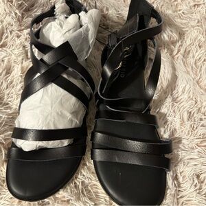 Black Torrid Sandals